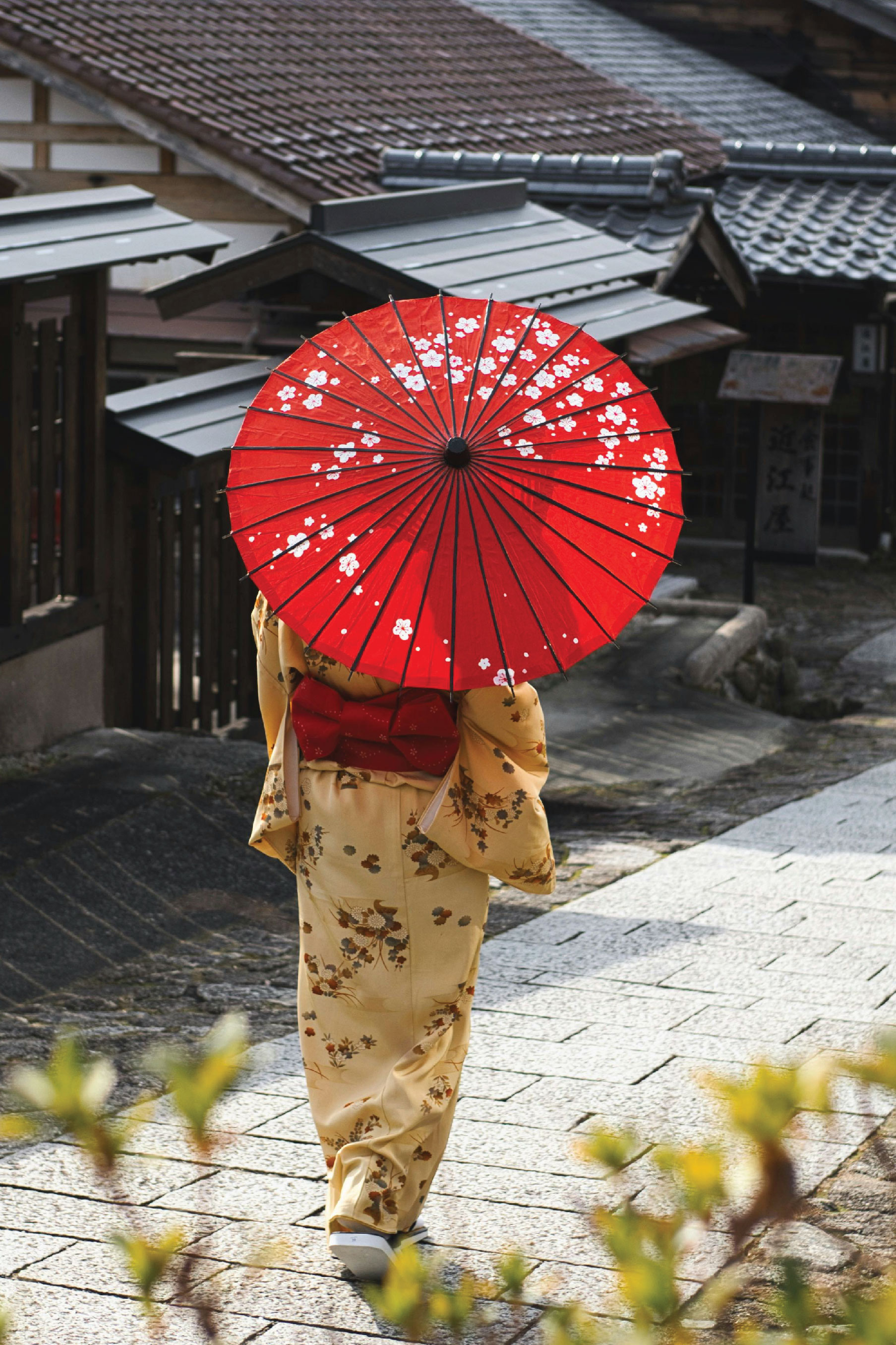 Serunya Liburan di Jepang: Negeri Matahari Terbit yang Mempesona